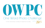 owpc-logo-21